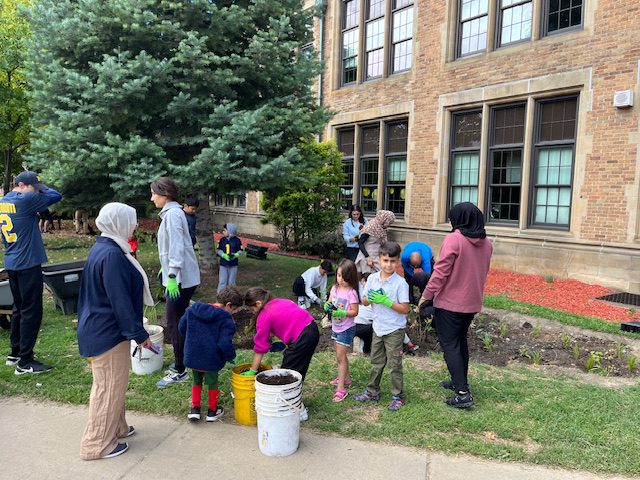 Lowrey Rain Garden